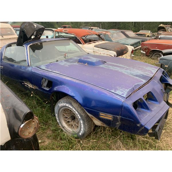 1981 Pontiac TransAm - parts car, shaker hood