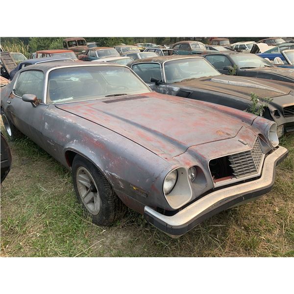 1976 (?) Chevy Camaro - parts car, complete