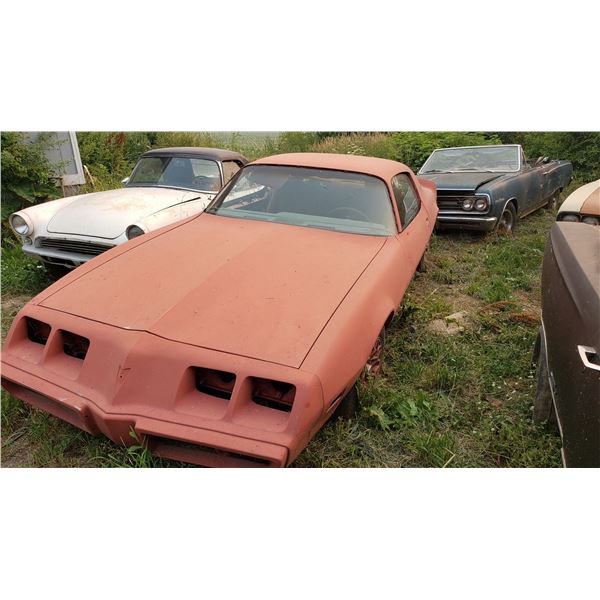 1980 Pontiac Firebird - red bird, runs