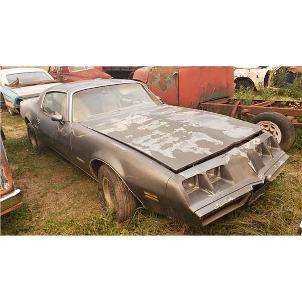 1980 Pontiac Firebird - parts car