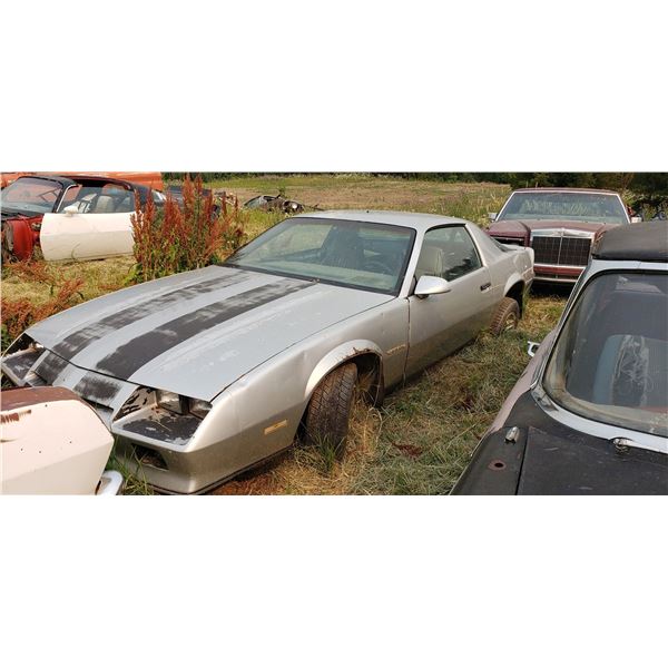 3rd Gen Camaro - parts car