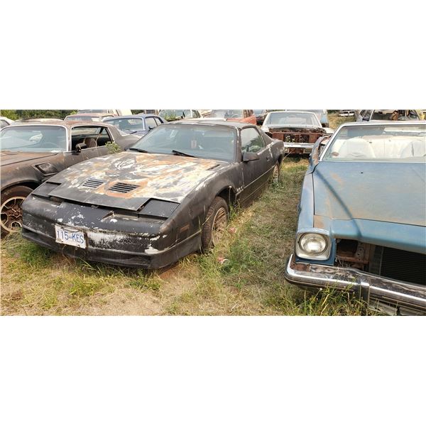 3rd Gen Trans Am - parts car