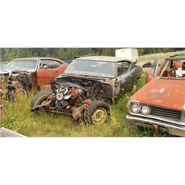 1969 Chevy Chevelle - shell and frame