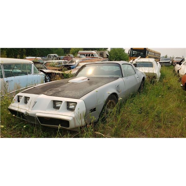 2nd Gen Pontiac Trans Am - parts car