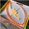 Image 2 : 2 NEW FLEXLIGHT NFL FOOTBALL LIGHTS