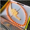 Image 2 : 2 NEW FLEXLIGHT NFL FOOTBALL LIGHTS