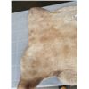 Image 3 : SHEEPSKIN RUG