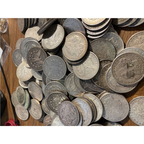 (50) Morgan Silver Dollars