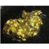 Image 1 : 2.89 Gram Natural Gold Nugget