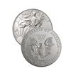 Image 1 : Random Date US Silver Eagle - 1 oz