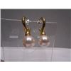 Image 1 : Pierced Drop Earrings