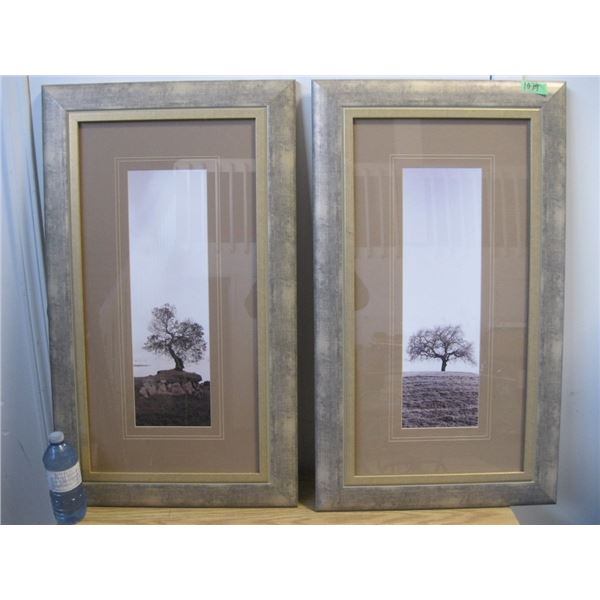 2 Framed Tree Prints