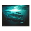 Image 1 : Wyland, "The Great Sperm Whale" Hand Embellished Limited Edition Cibachrome, Numbered and Hand Signe