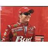 Image 3 : Dale Earnhardt Jr Poster