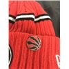 Image 3 : Toronto Raptors Tuque, Pin & Flag