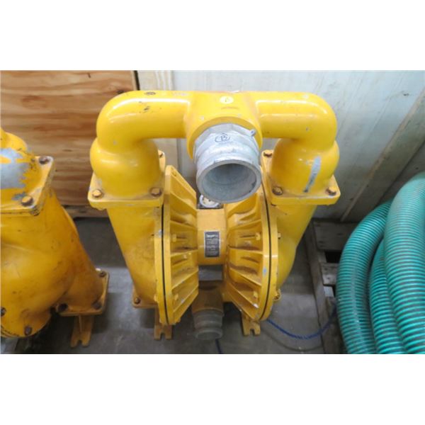 Teryair # DPB75ALBBSP 3  Dbl. Diaphragm Pump