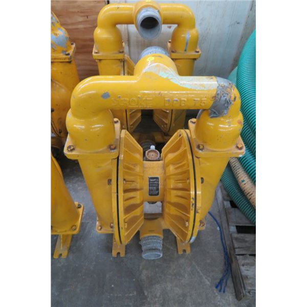 Teryair # DPB75ALBBSP 3  Dbl. Diaphragm Pump