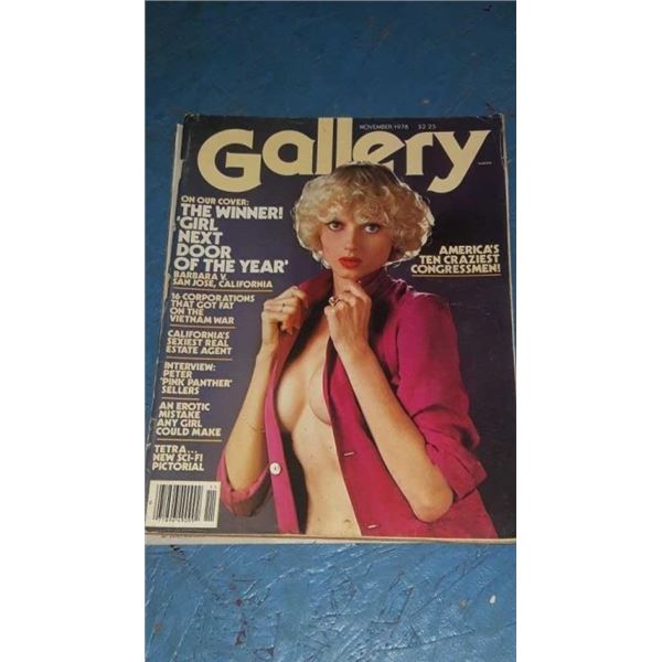 Gallery magazine girl next door of the year cover is ripped November 19th 78