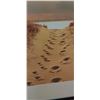 Image 2 : FOOTPRINTS IN THE SAND PRINT 20.5" X 28.5"