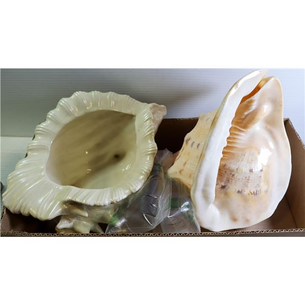 SEA SHELL ORNAMENTS