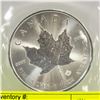 Image 1 : .999 FINE SILVER 1 OZ MAPLE LEAF 2021 COIN