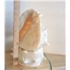 Image 2 : Conch Shell lamp - Tested and Works