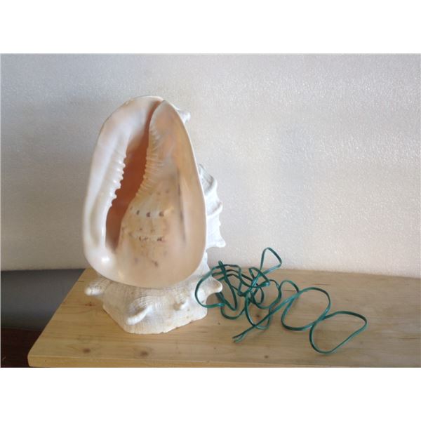 Conch Shell lamp that needs rewiring, see photo
