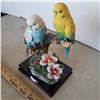 Image 2 : 2 budgie birds