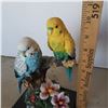 Image 7 : 2 budgie birds
