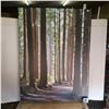 Image 1 : large canvas trees forest