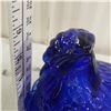 Image 6 : large cobalt blue hen on a nest - has chips