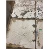 Image 3 : 4 Tin Ceiling Tile Has Some Rust 2'x2'