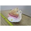 Image 3 : Conch Shell