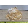 Image 4 : Conch Shell