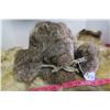 Image 2 : 452. Rabbit fur Crown cap, made in Winnipeg