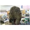 Image 6 : 452. Rabbit fur Crown cap, made in Winnipeg