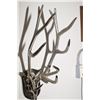 Image 2 : Steel Deer Horn Rack - Steam Punk