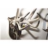 Image 3 : Steel Deer Horn Rack - Steam Punk