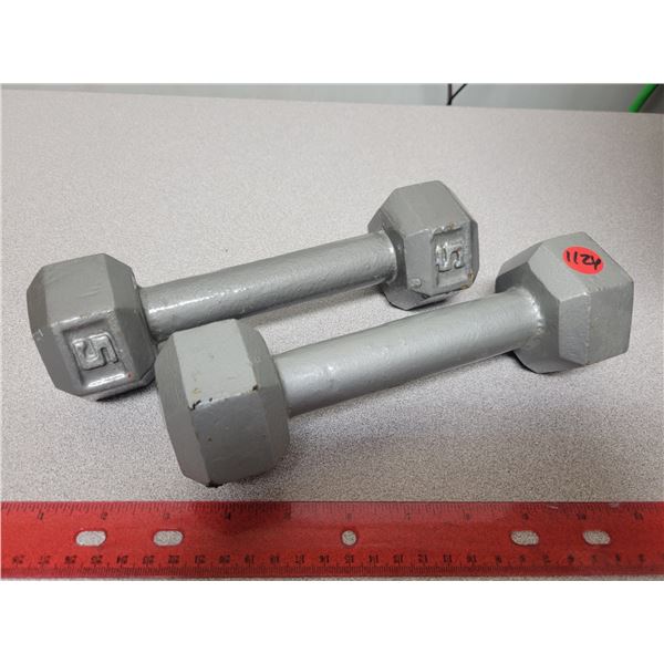 Pair 5 lbs metal weights
