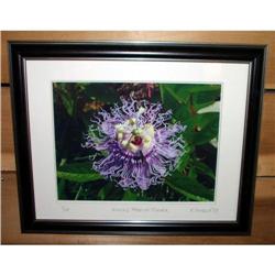 Purple Passion Flower Signed Limited Edition #2183109