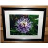 Image 1 : Purple Passion Flower Signed Limited Edition #2183109
