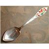 Image 1 : NIAGARA Falls STERLING Souvenir SPOON Enameled #2184865