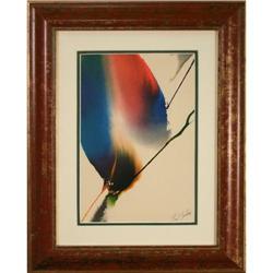 Phenomena abstract print Jenkins Pollack #2198409