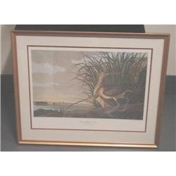 LITHOGRAPH OF BIRD OVERLOOKING CHARLESTON, S.C.#2198486