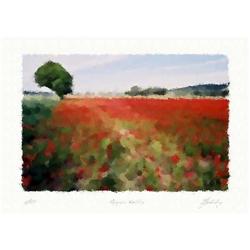 "Poppy's valley" Author's lithograph by Livitin#2198588