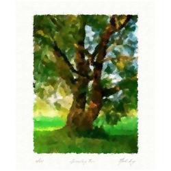 "Sprawling tree" Author's lithograph big size  #2198615