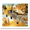 Image 1 : African Montage by Charles Lynn Bragg #2214661