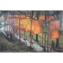 Christo   The Gates Project, Photo #28 #2228497