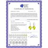 Image 2 : Genuine 21.68 ctw Lemon Quartz & Diamond Earrings 14KT White Gold - REF-58V2W
