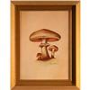 Image 1 : "Mushrooms" by Ruane Manning - print #2211785